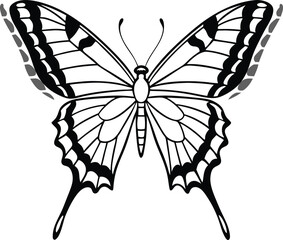 Swallowtail butterfly with long tails in black and white line art vector
