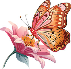 butterfly on flower