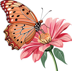 Realistic vector illustration of a Gulf Fritillary butterfly with vibrant orange wings and black markings, isolated on white background
Gulf Fritillary butterfly realistic vector art,
Orange butterfly