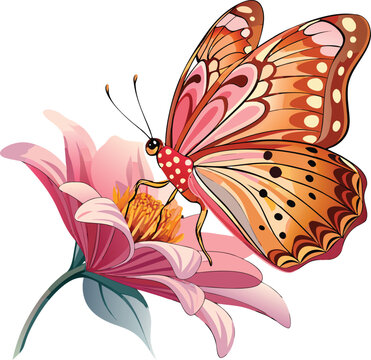 Butterfly clip art preview