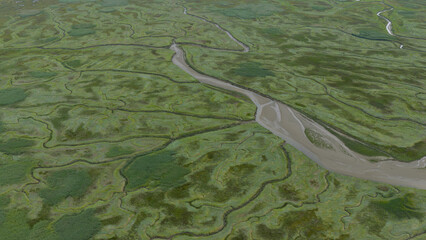 Drowned Land of Saeftinghe, nature reserve along the Schelde, Vast salt marshes, gullies and...