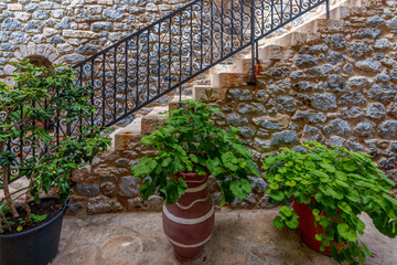 Lush potted plants line the wall and stairs