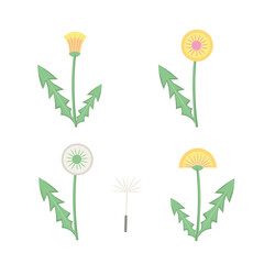 dandelion flower set. Vector Illustration for printing, backgrounds, covers and packaging. Image can be used for greeting cards, posters, stickers and textile. Isolated on white background.
