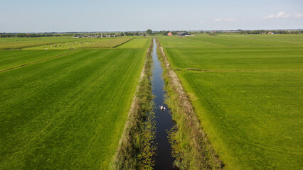rural canal in a field in the typical dutch countryside