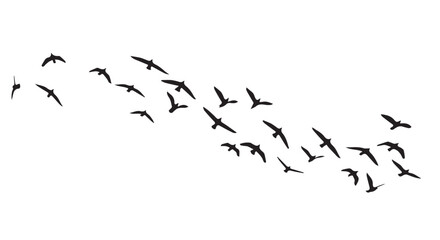 Birds in Flight – Silhouette Sky Migration Vector