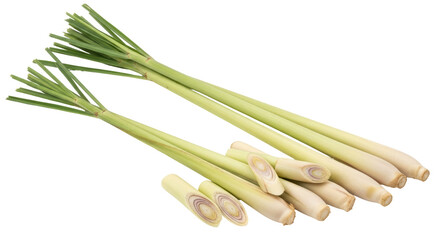 Isolated Fresh Lemongrass Stalks