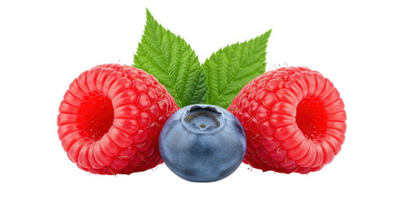 Isolated Raspberries and Blueberry
