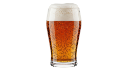 Isolated Glass of Beer with Foam
