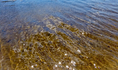 Crystal Clear Waters