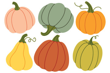 Collection of pumpkins and gourds in various colors and shapes. Autumn harvest vegetables on white background for seasonal use