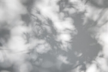 Natural gray shadows of branch and leaves tree on white wall with light bokeh. Abstract shadow and...