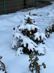 christmas tree in snow