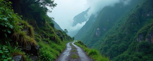 Mysterious Winding Mountain Path in Misty Rain, Adventure Hiking Trail, Stone Path, Wild Nature, Foggy Landscape Photography