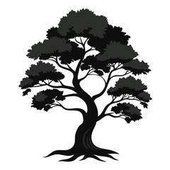 Juniper Tree Vector black color on white color bacground
