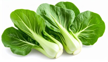 Fresh Green Bok Choy on White Background