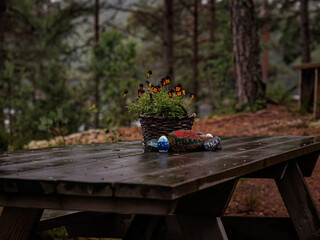 table with flowers, arragment and colored stones