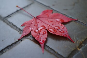 A vibrant red maple leaf rests on textured stone tiles, adorned with sparkling water droplets.