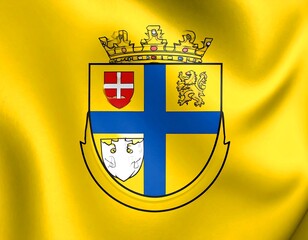Yellow flag with coat of arms