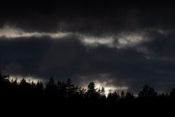Obraz premium Cloudy evening landscape, silhouette of coniferous forest, summer in Norway, Oslo
