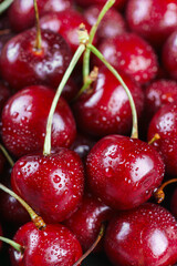 Macro, close up of ripe red sweet cherries covered in water droplets. Healthy eating, fresh summer...