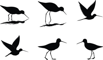 Dunlin Silhouette Water Standing Vector Illustration