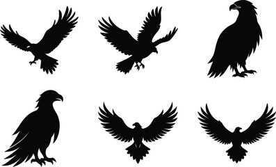 Obraz premium Eagle Silhouette Diving Mid Flight Talons Vector Illustration