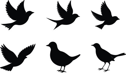 Lark Silhouette Flying Song Flight Vector Illustration