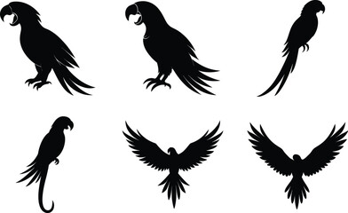 Obraz premium Macaw Silhouette Calling Raised Beak Vector Illustration