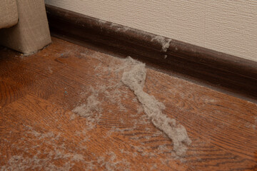 Accumulating dust, hair, and debris at the edge of a room emphasizes the pressing need for thorough...