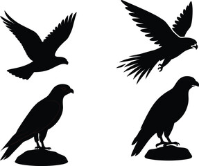 Obraz premium Peregrine Falcon Silhouette Diving Swiftly Vector Illustration