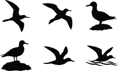 Shearwater Silhouette Flying Angled Back Wings Vector Illustration
