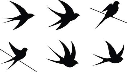 Swallow Silhouette Perched Wire Vector Illustration