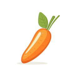 Realistic carrot illustration on white background