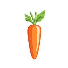 Realistic carrot illustration on white background