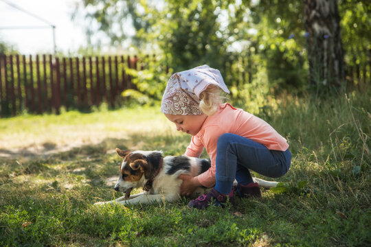 Young Girl Cares For Small Dog In Sunny Backyard Moment