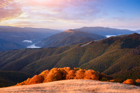 Fiery red beech forest lit by setting sun over autumn mountain terrain. Colorful tree canopy and sunset hues captured in tranquil outdoor landscape