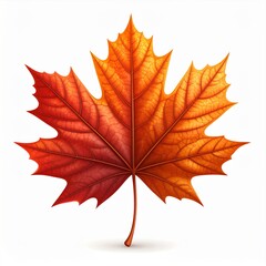 Obraz premium Red and Orange Maple Leaf on White Background