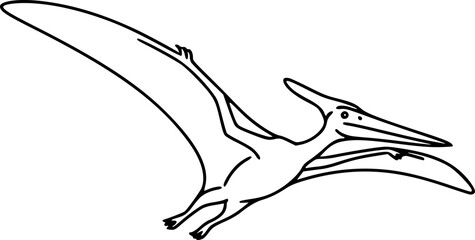 Pterodactyl Flying Reptile Outline Icon