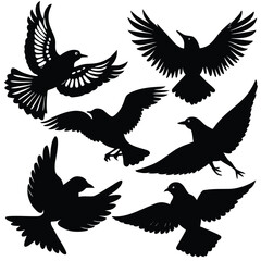 Fototapeta premium Six Bird Silhouette Vector Illustrations Perched and Flying Poses