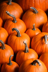 Close up of multiple orange pumpkins packed tightly in warm autumn tones. Halloween background with rich texture and cozy seasonal still life