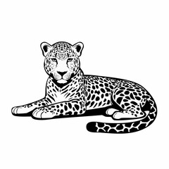 Leopard Lying image vector. Leopard laying down Stock Vector Images