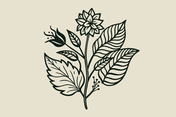 Vintage Botanical Sketches in Ink