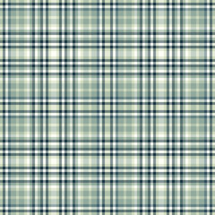 Elegant plaid pattern. Sophisticated texture for backgrounds, apparel, or design projects. Classic style meets modern needs. Versatile  stylish backdrop.
