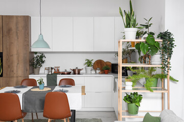 Interior of kitchen with green plants, dining table and counters