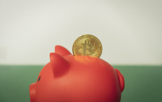 Profitable investment, interest deposit, piggy bank, crypto wallet. Electronic money security, blockchain, bitcoin vector illustration, economic crisis, saving finances - Powered by Adobe