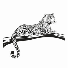 Leopard Relaxing On A Branch image vector isolated on white background.