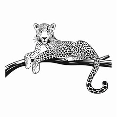 Leopard Relaxing On A Branch image vector isolated on white background.
