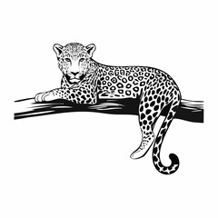 Leopard Relaxing On A Branch image vector isolated on white background.