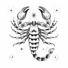 Emperor Scorpion Image vector. Black and white Emperor Scorpion Image isolated on white background.