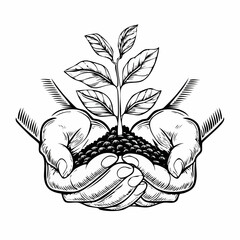 Hands holding soil and plant image vector isolated on white background.